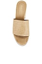 view 4 of 5 Spencer Platform in Raffia