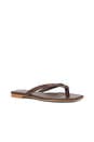 view 2 of 5 Grainger Flip Flop in dark chocolate