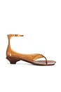 view 1 of 5 Avery Sandal in Brown