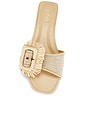 view 4 of 5 Kaeli Sandal in Raffia