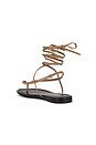 view 3 of 5 Aditi Sandal in Taupe