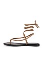 view 5 of 5 Aditi Sandal in Taupe
