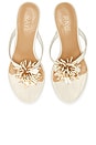 view 4 of 5 Iman Sandal in Ivory