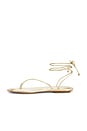 view 5 of 5 SANDALIA ZABEL in Gold