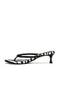 view 5 of 7 Kimme Sandal in Zebra