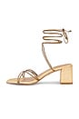 view 5 of 5 SANDALES PILAR in Olive