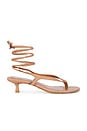 view 1 of 5 Nourin Sandal in Dark Nude