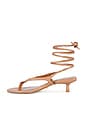 view 5 of 5 Nourin Sandal in Dark Nude