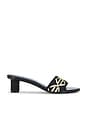 view 1 of 5 SANDALES LILLIAN in Black Raffia Multi