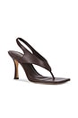 view 2 of 5 ESCARPINS KAJA in Dark Chocolate