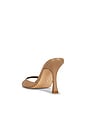 view 3 of 5 SANDALIA ALEJANDRA in Taupe
