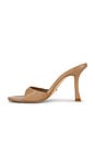 view 5 of 5 SANDALIA ALEJANDRA in Taupe