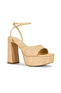 view 2 of 5 Mina Platform in Raffia