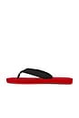 view 5 of 5 Cane Flip Flop in Red