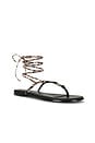 view 2 of 5 Aeryn Sandal in Snakeskin