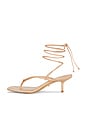 view 5 of 5 Evey Sandal in Nude Nappa