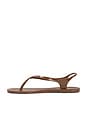 view 5 of 5 Ala Flip Flop in Brown