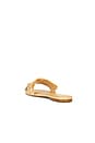 view 3 of 5 Nomi Sandal in Raffia