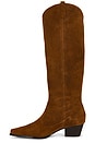 view 6 of 5 BOTA CASTIEL in Tan Suede