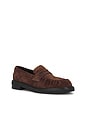 view 2 of 5 Ciera Loafer in Dark Brown