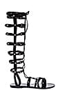 view 1 of 5 Shanna Gladiator Sandal in Black