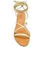 view 4 of 5 Sadie Gladiator Sandal in Gold
