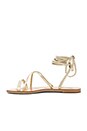 view 5 of 5 Sadie Gladiator Sandal in Gold