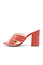 view 5 of 5 Bella Mule in Blush Velvet