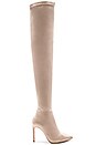 view 1 of 6 BOTTINES SABLE in Nude