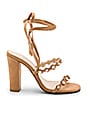 Juniper Heel
