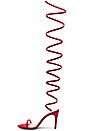 view 5 of 5 TALON ENVELOPPANT AMAYA in Ruby