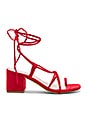 view 1 of 6 x STONE_COLD_FOX Bellissima Sandal in Red