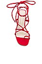 view 4 of 6 x STONE_COLD_FOX Bellissima Sandal in Red