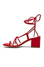 view 5 of 6 x STONE_COLD_FOX Bellissima Sandal in Red