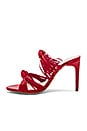 view 5 of 6 Conquest Mule in Red