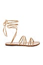 view 1 of 6 Collette Sandal in Tan