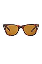 view 1 of 3 Mega Wayfarer Sunglasses in Brown