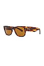 view 2 of 3 Mega Wayfarer Sunglasses in Brown