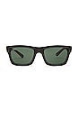view 1 of 3 Warren Sunglasses in Black & Green