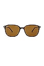 view 1 of 3 Polarized Leonard Sunglasses in Brown