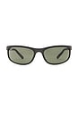 view 1 of 3 Predator 2 Oval Sunglasses in Black & Matte