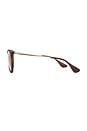 view 3 of 3 Erika Classic Oval Sunglasses in Rubber Havana