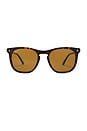 view 1 of 3 Polarized Sunglasses in Brown