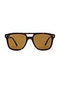 view 1 of 3 Wayfarer Sunglasses in Brown Tortoise
