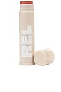 view 1 of 5 No Duh Lip Balm in Frick Yes