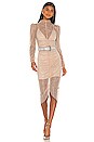 view 2 of 5 Armin Dress in Nude