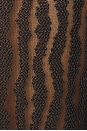 view 4 of 4 Seraphina Midi Dress in Black