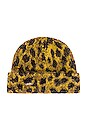 view 3 of 3 Cheetah Beanie in Cheetah Intarsia