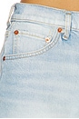view 6 of 6 50s Cutoffs Shorts in Silver Springs