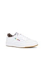 view 2 of 6 x Wacko Maria Club C 85 Sneakers in White